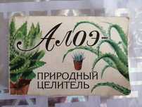 Продам столетник алое вера