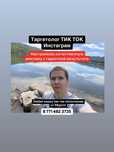 Таргет | Таргетолог | Инстаграм | Тик ток