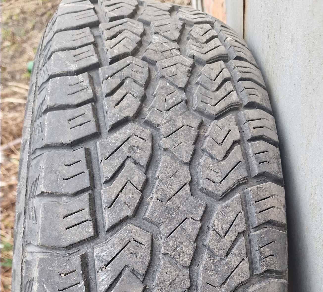 Mickey Thompson Sailun Terramax