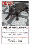 Пропала собака,члены семьи