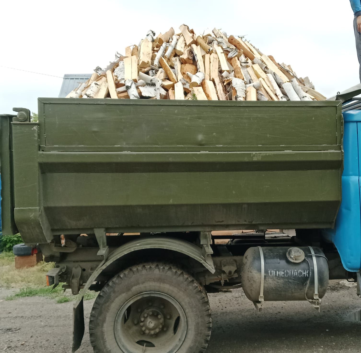 Продам дрова береза