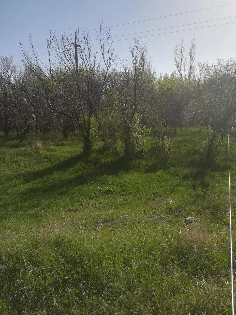 Участок к/х Азат, сразу после Талгара. Выкуплен. Не аренда.