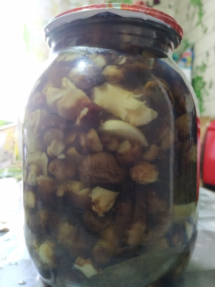Продам грибы соленые и маринованные
