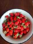 вкусная садовая клубника