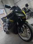 Продам  honda 1000rr