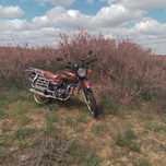 Продам Ltm m9 200