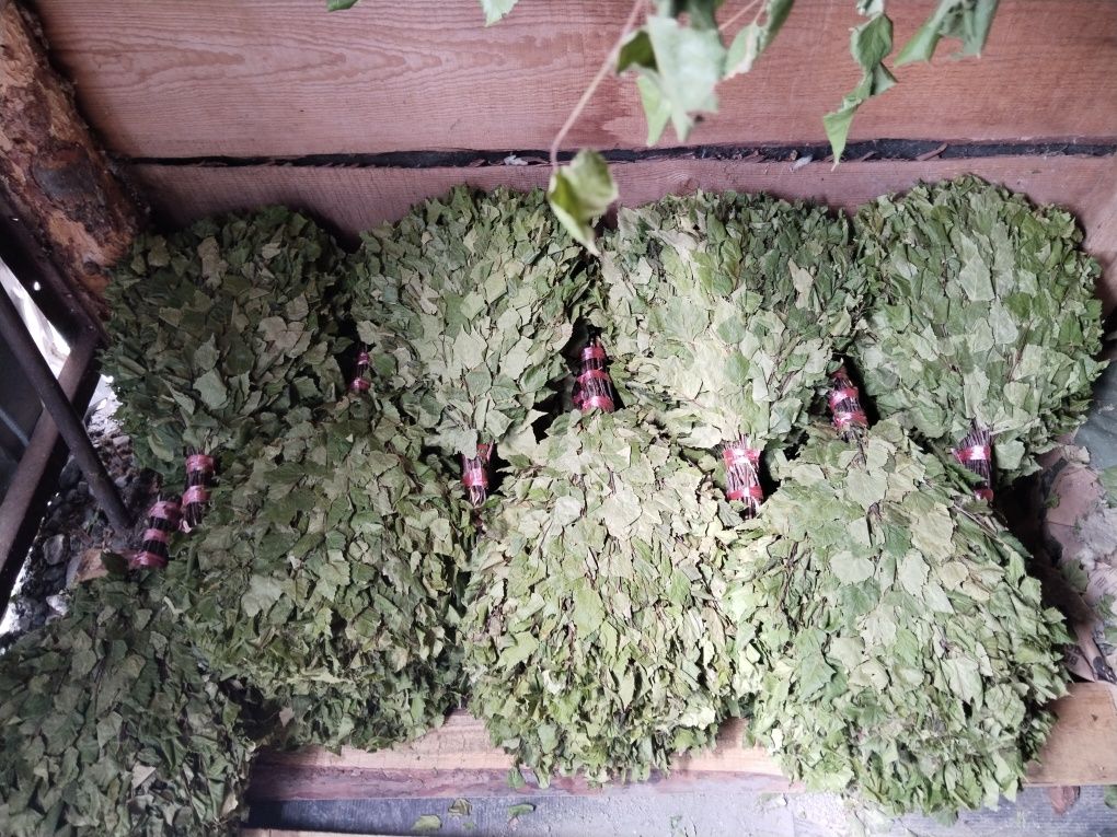 Веники берёзовые, отличного качества,.
