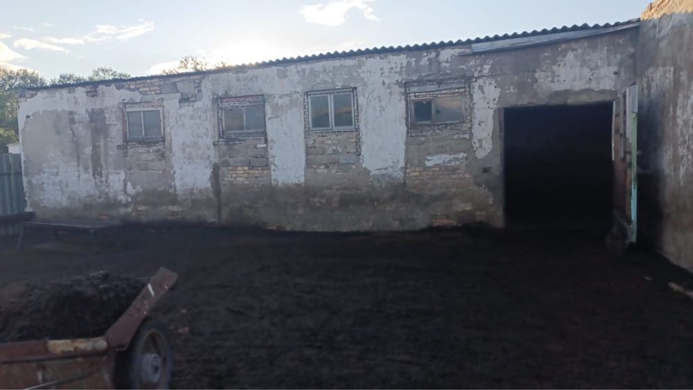 Продаётся хозяйство с постройками и крупным поголовьем лошадей и овец!