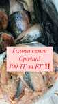 ‼️Голова семги 100 тг за кг‼️и суп наборы