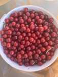 Продам домашнюю вишню