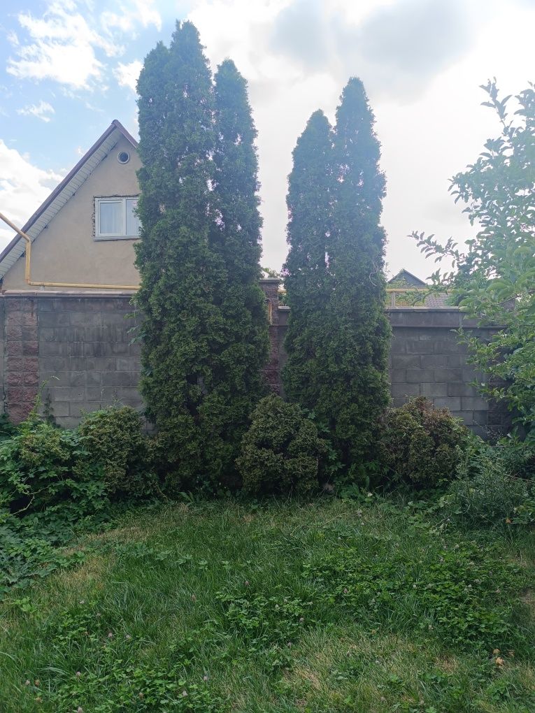 Продам коттедж два этажа мансард