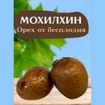 Мохилхин Орех бесплодие женщинам мужчинам простатит болезни
