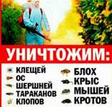 Дезинфекция клопов, тараканов, насекомых.Гарантия!Качество!