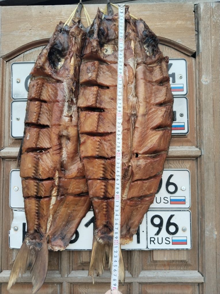 Продам копчёную рыбу свежий завоз есть змей голова и сом находится на