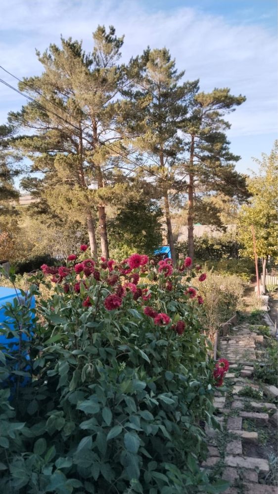 Продам дачу на правом берегу