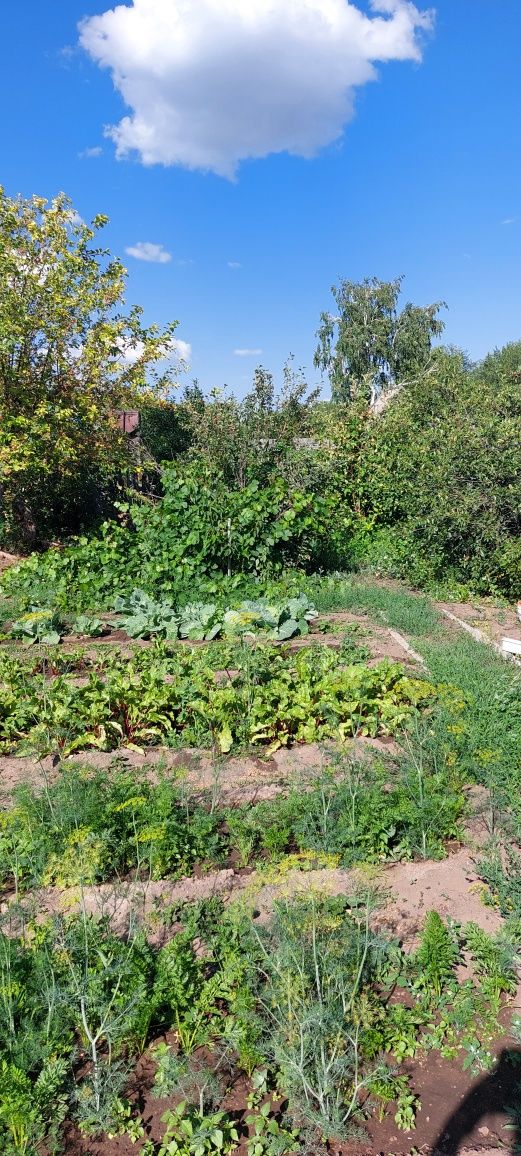 Продаётся дача в районе бывшей шахты Абайская