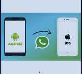 Перенос Whatsapp Астана, ватсап перенос. Transfer whatsapp Нур-Султан.