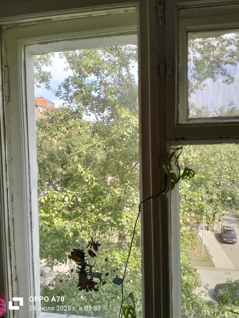 Окна деревянные б/у