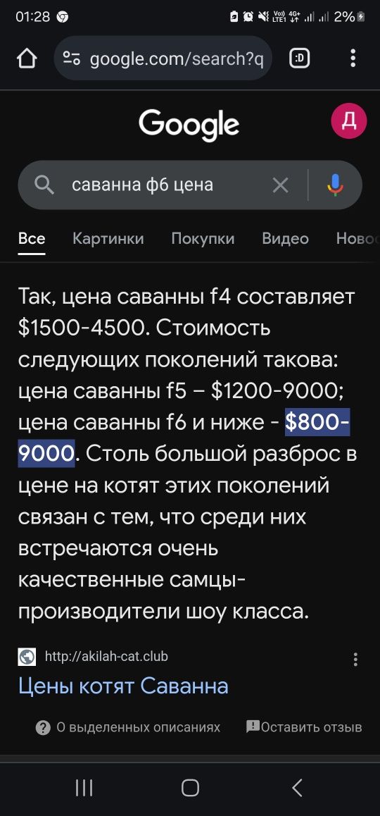 Котята саванна ф6