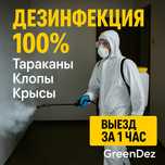Тараз дезинфекция, дезинфекция, дезинсекция, дератизация, гарантия 100