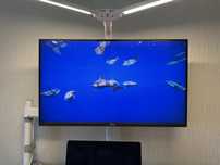 Монитор Dell 27" 4K (S2721Qb) + кронштейн + настольная лампа с пультом
