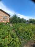 Продам дачу в садоводстве Иртыш