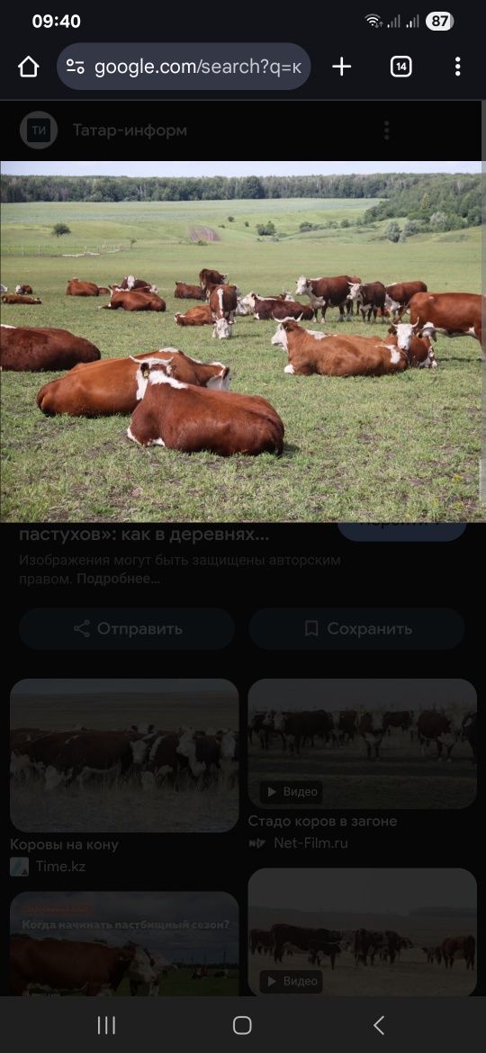 Сиыршы керек, семейный