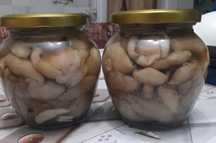 Продам маринованные  маслята