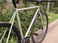 Intro7 fs-01s fixed gear
