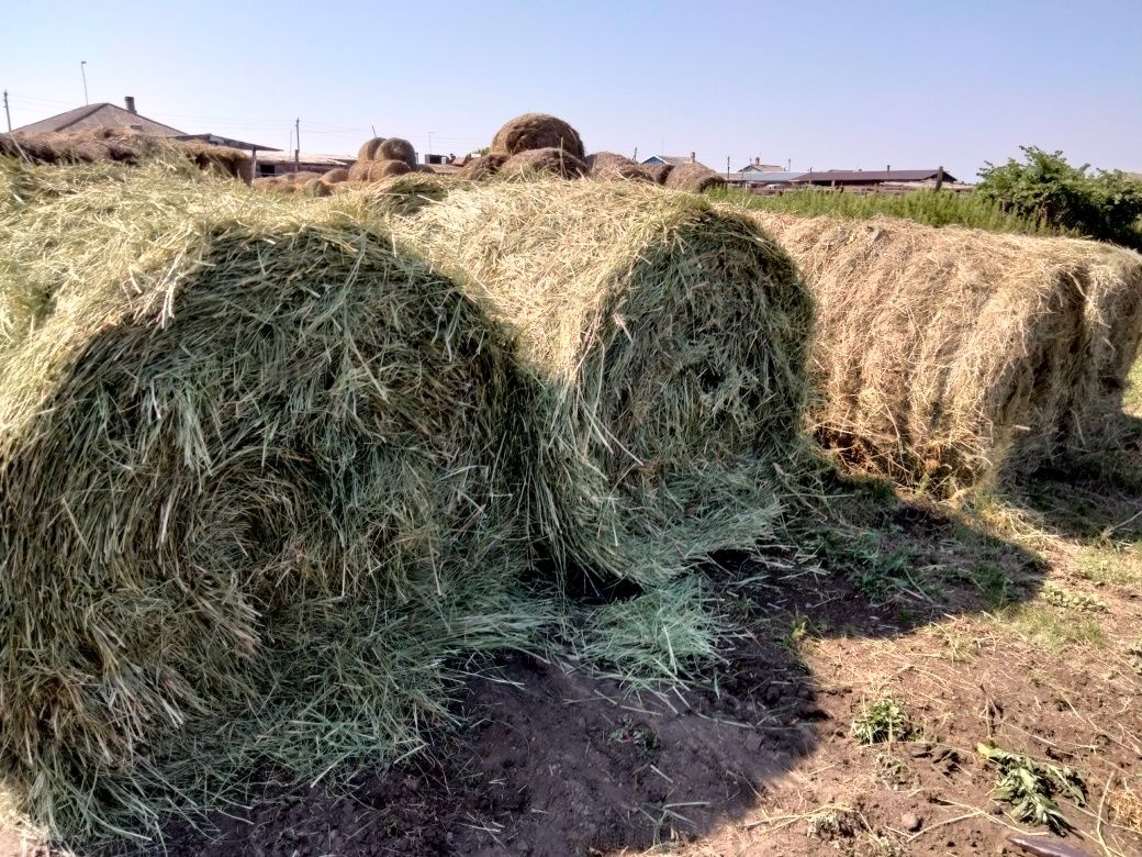 Продам сено в  рулонах   солома ячмённая