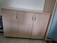 Тумба с распашными дверцами, комод