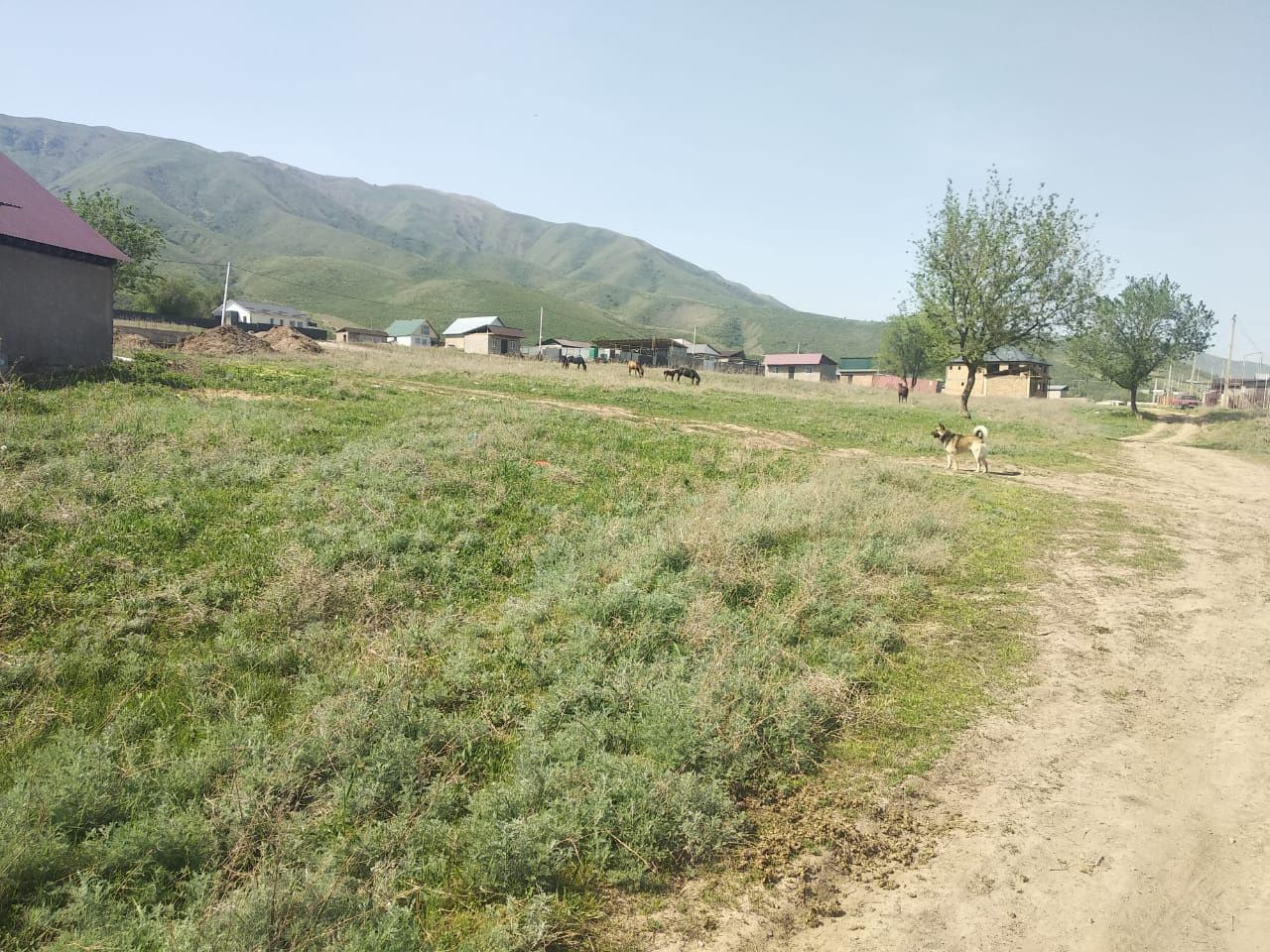 Продам землю поселок бекболат