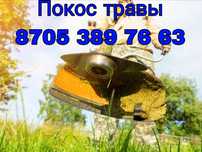 Услуги покоса Травы/ Шөп шабу