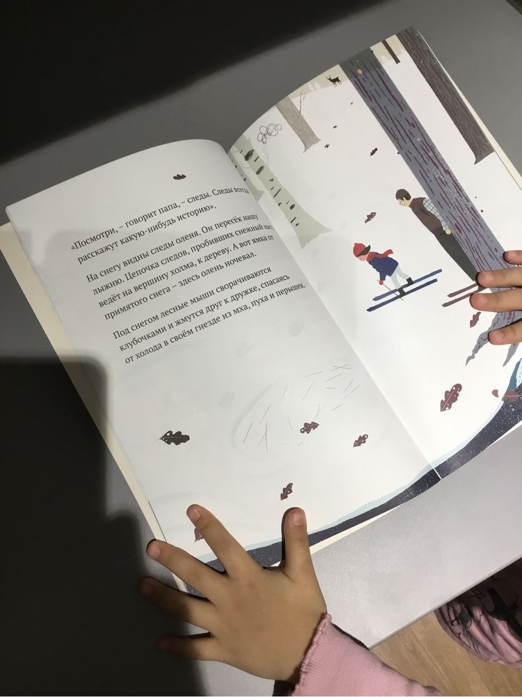 Книга для ребенка 3 4 5 лет на снегу и под снегом кейт Месснер подарок