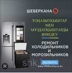 Ремонт холодильников и морозильников