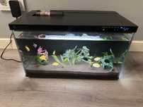 Продам аквариум Xiaomi Mijia smart fish tank MYG100 c рыбками