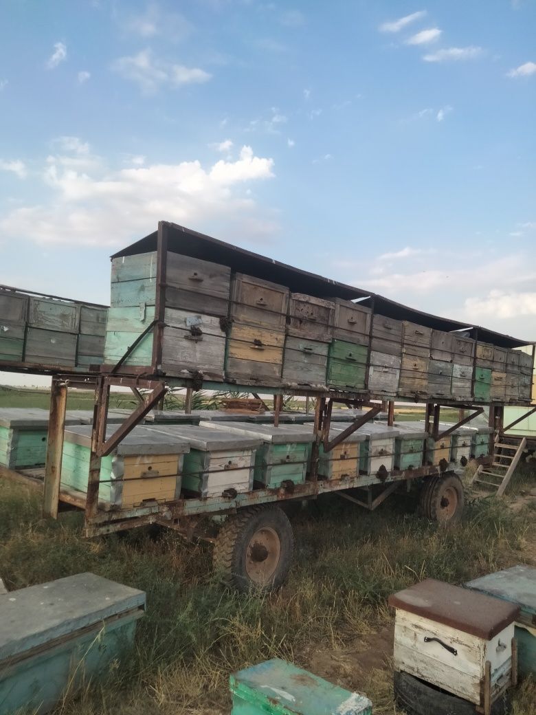 Продам 2 павильон