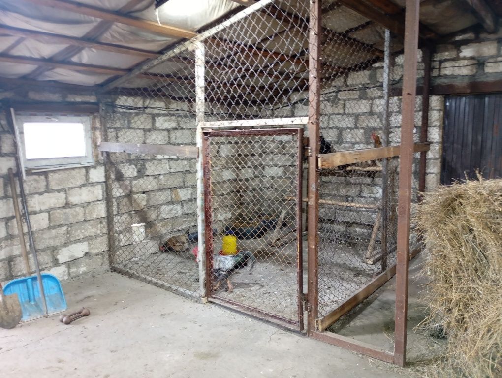 Продам дом с большим сараем срочно