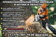 Профессиональный спил деревьев в Актобе