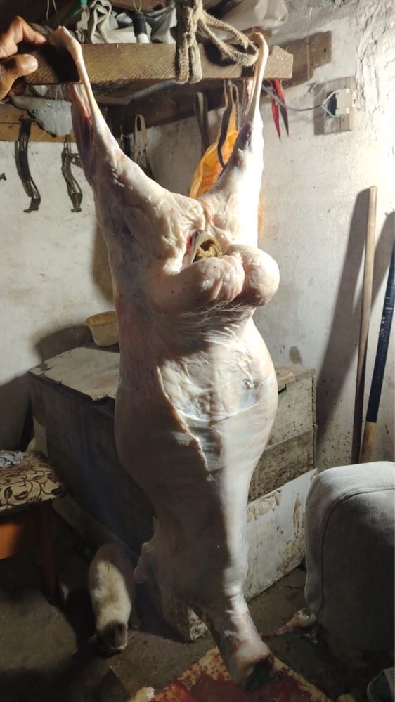 Баранина мясо тушками