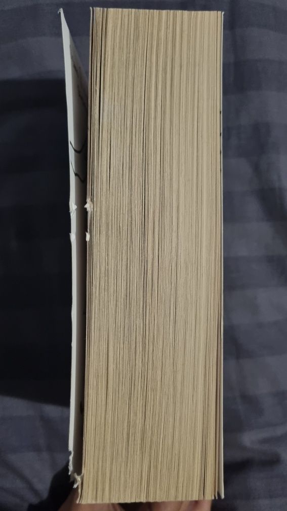 Книга Лето В Пионерском Галстуке ЛВПГ