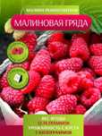 Малина ремонтная и хит малина карамелька (2шт)