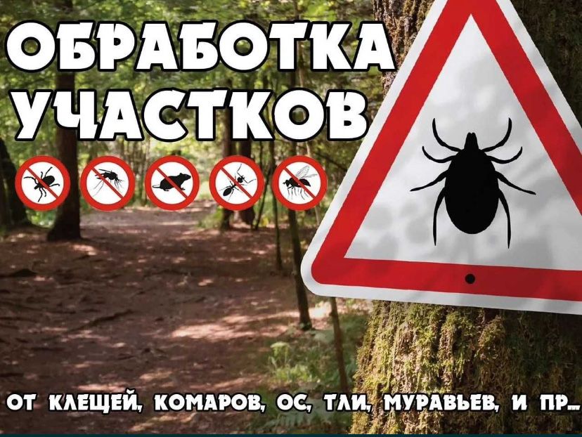 Дезинфекция, Уничтожения тараканов клешей клопов мышей и т.д.
