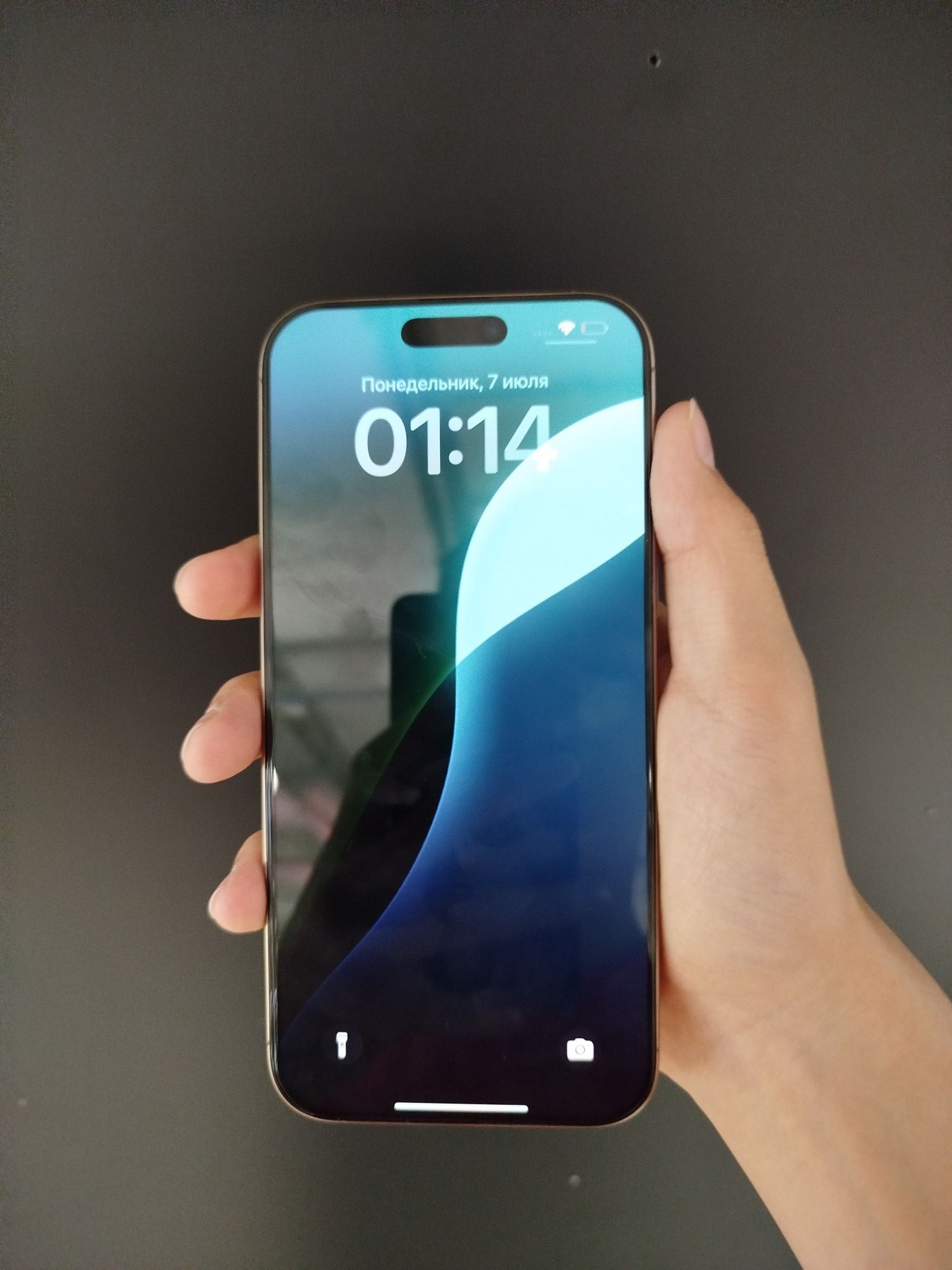 iPhone 16 pro max 256 gb айфон 16 про макс 256 гб