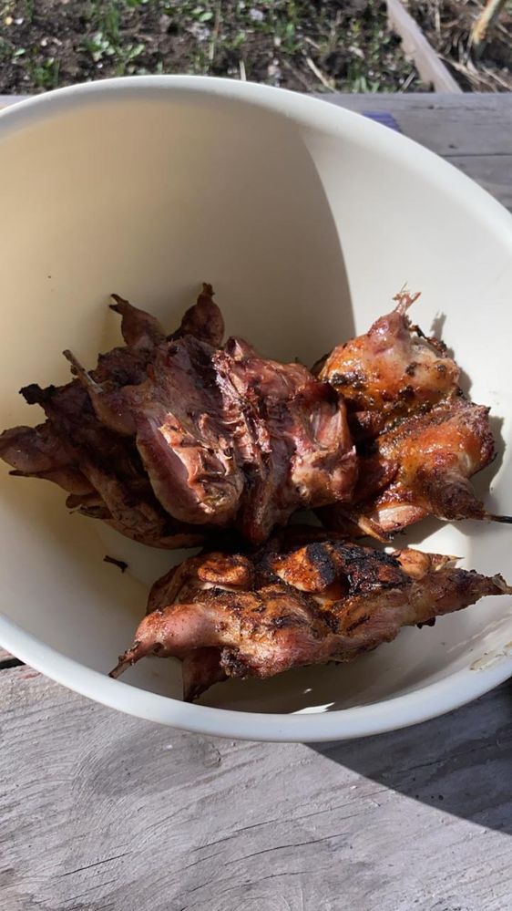 Мясо перепелов халяль