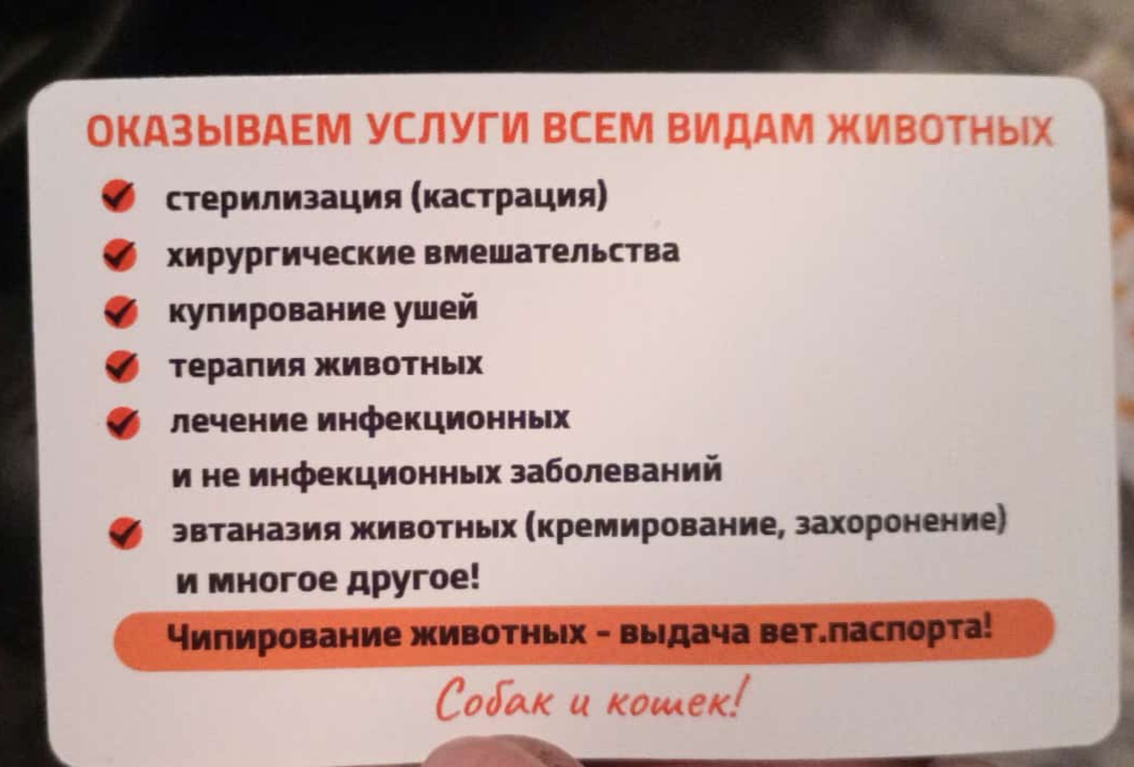 Ветеринарная лечебница, вызов врача на дом. Предварительно звоните
