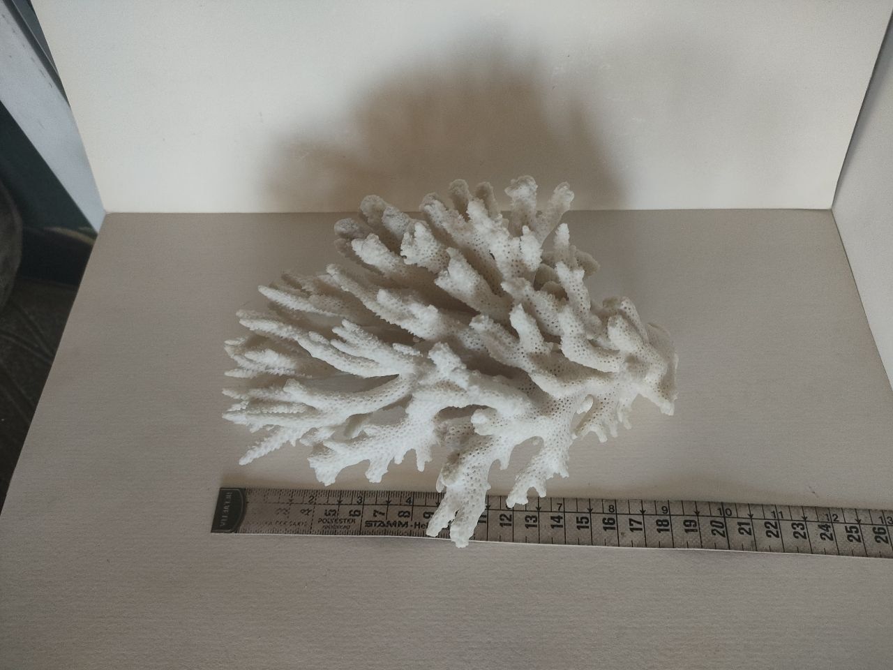 Натуральный коралл Acropora
