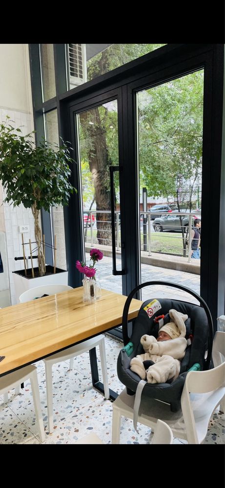 Автокресло Cybex Aton 2