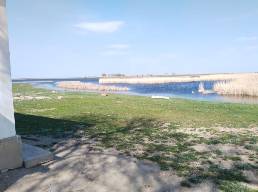 Фазенда продается недалеко от города Таразаз