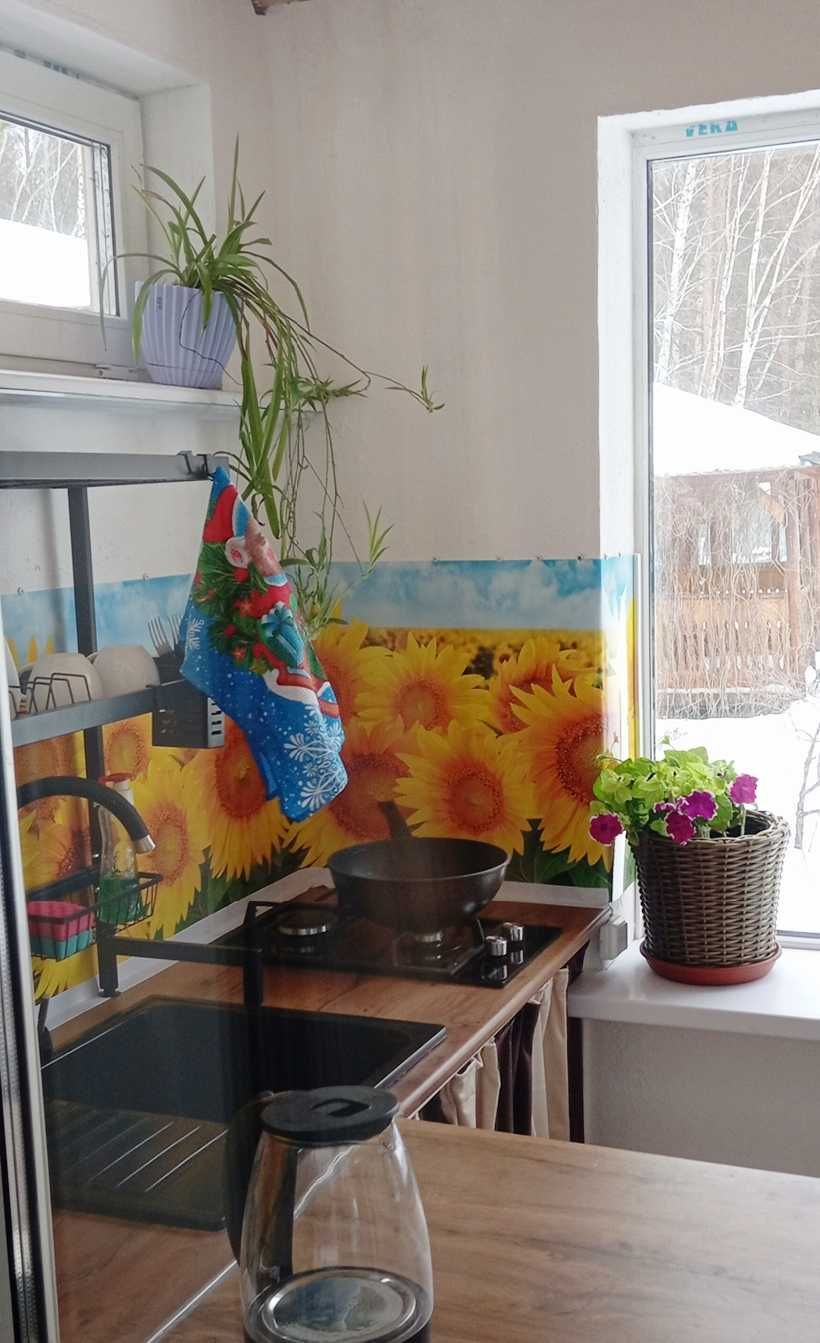 Сдам уютный семейный номер в Боровом. Озеро Щучье